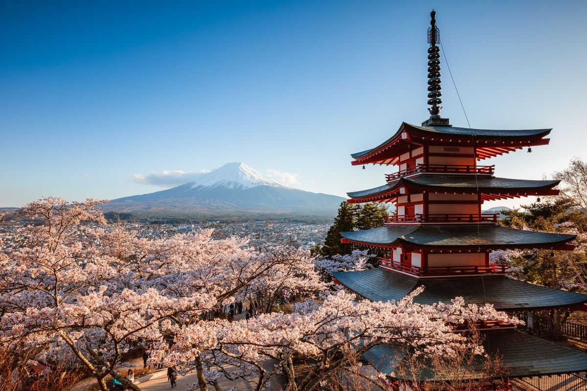 Pagoda Chureito in gora Fuji s češnjevim cvetom