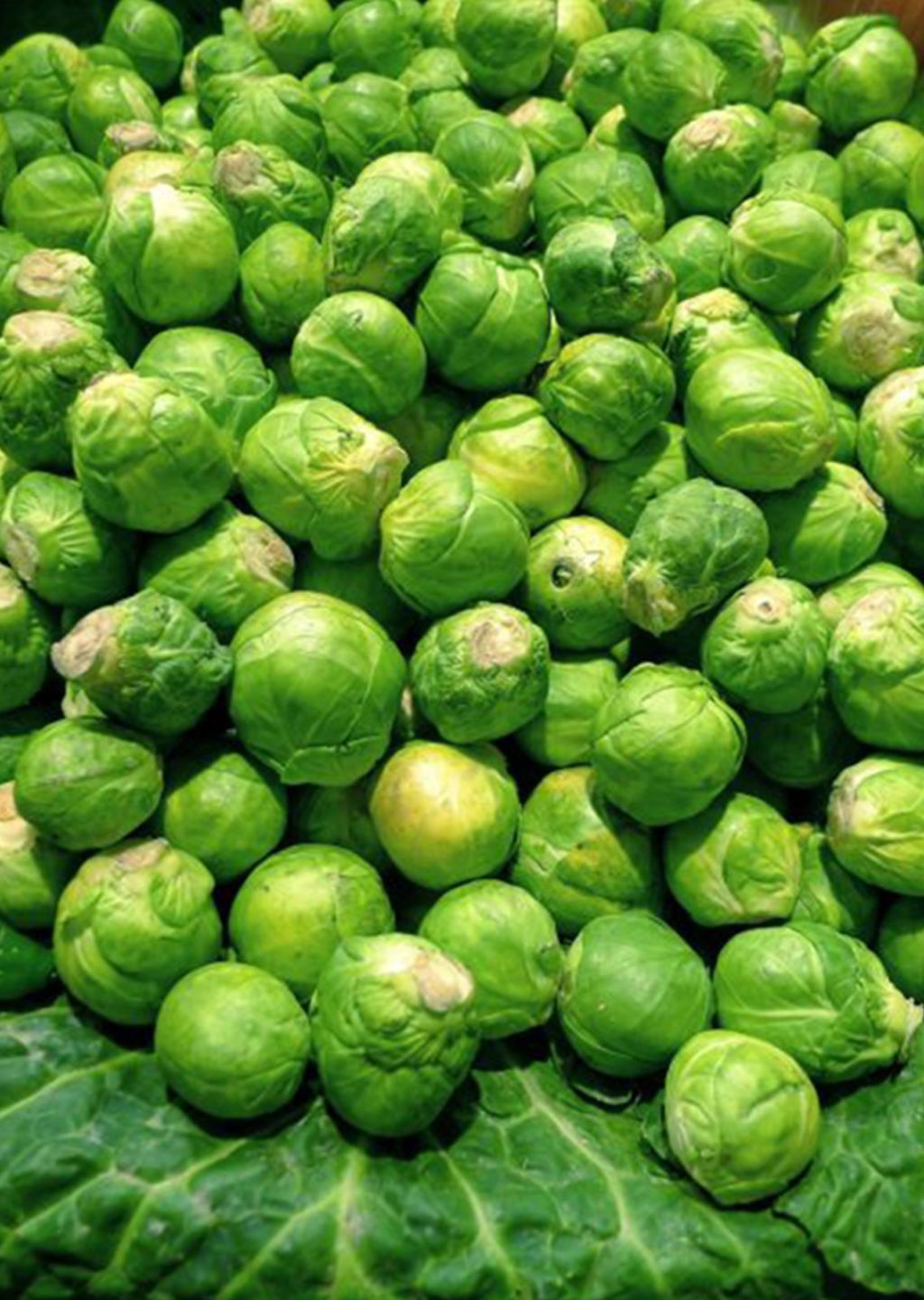 Grøn, Lokal mad, Mad, Hele fødevarer, Vegansk ernæring, Naturlige fødevarer, Ingrediens, Farverighed, Tilpasning, Verden,