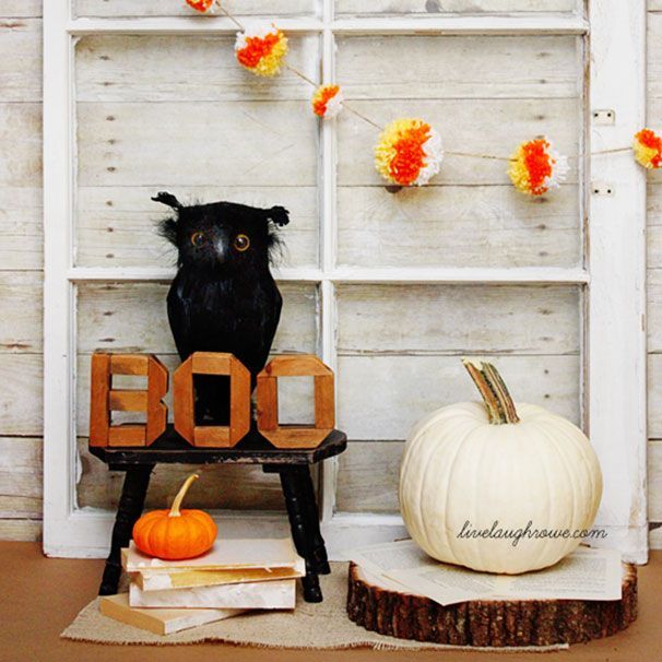 Bí ngô, Calabaza, Mèo đen, Cam, lừa hoặc điều trị, Cucurbita, Bí ngô, Mũ, Mũ, Đồ bầu,