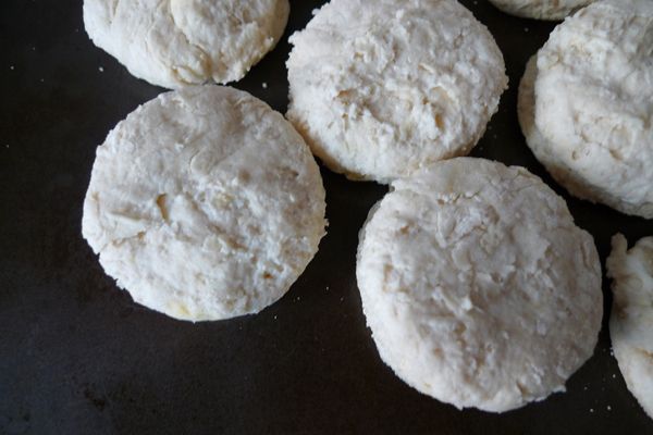 Recortes de biscoito.