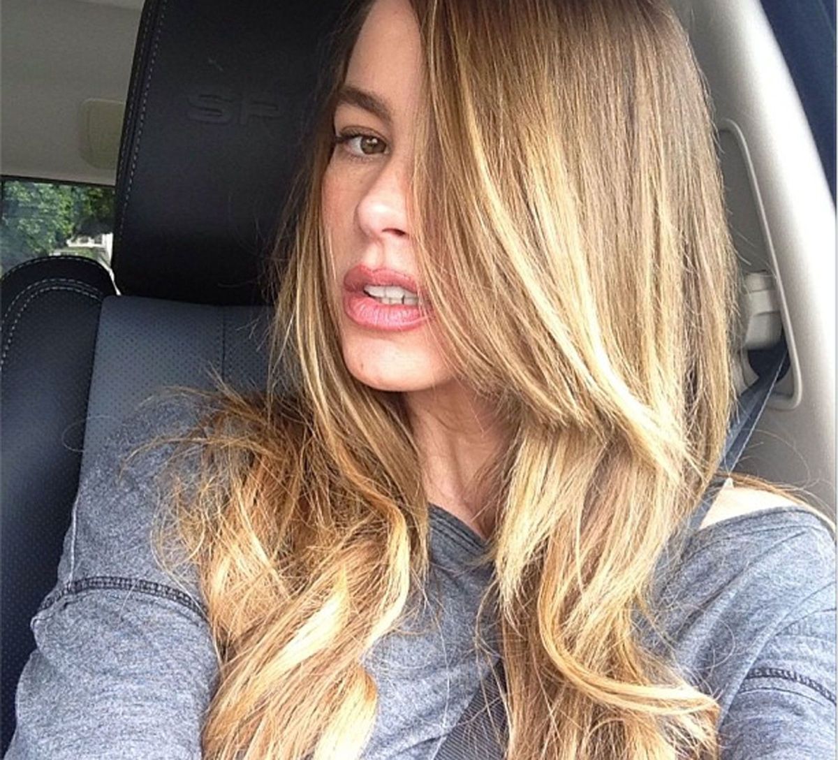 Sofia vergara
