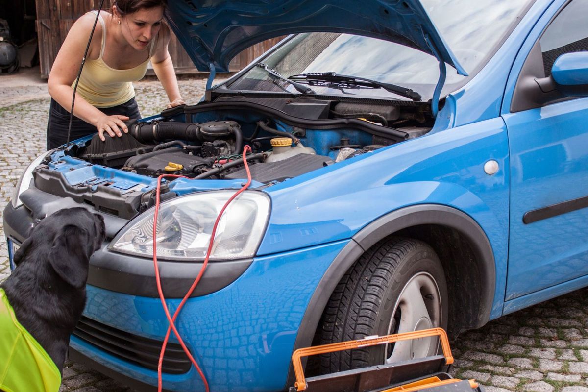 Repariere dein Auto
