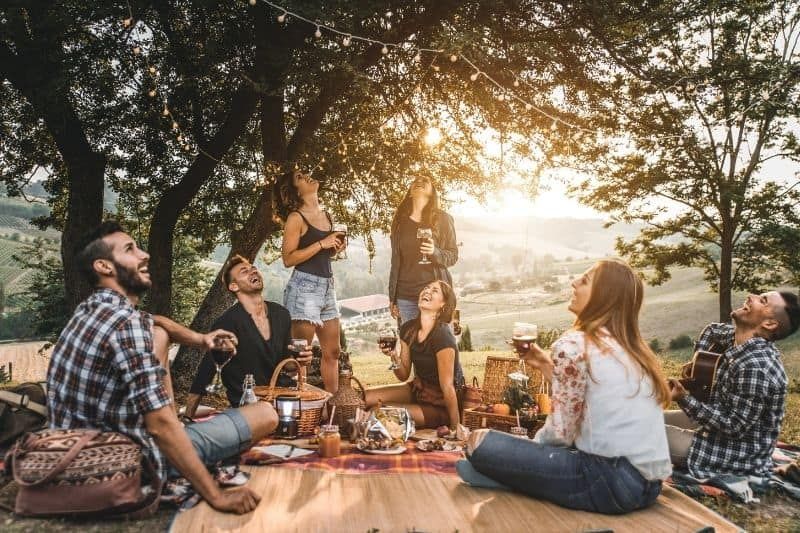 grupa przyjaciół na pikniku w parku pod drzewem z jedzeniem i winem na macie