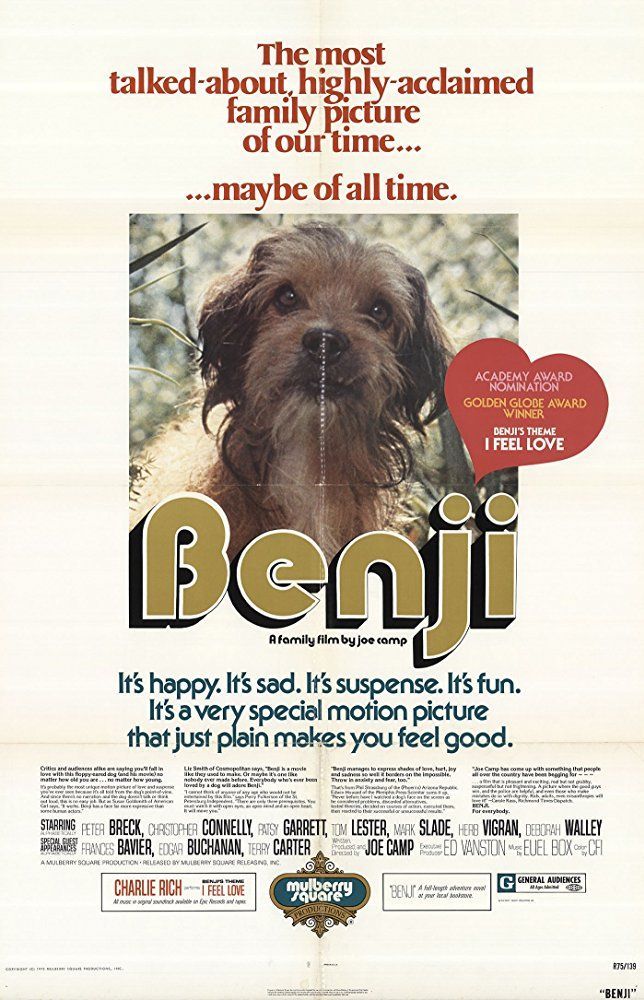 Hond, Canidae, Hondenras, Shih tzu, Poster, Sportgroep, Carnivoor, Reclame, Zeldzaam ras (hond), Gezelschapshond,