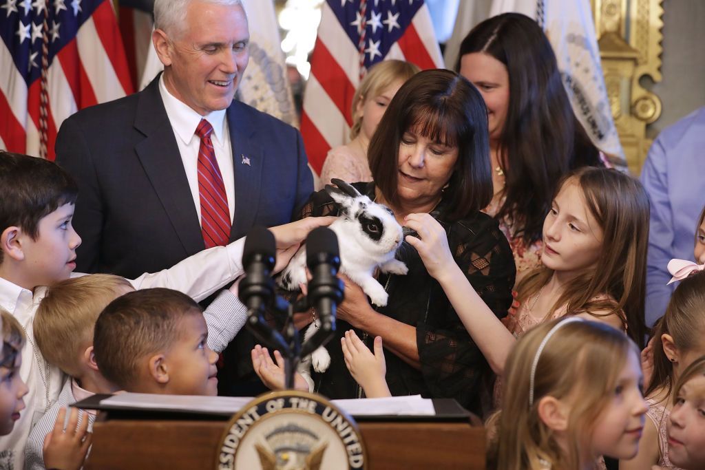 Livro infantil sobre o coelho gay de Mike Pence agora está no topo da lista dos mais vendidos da Amazon