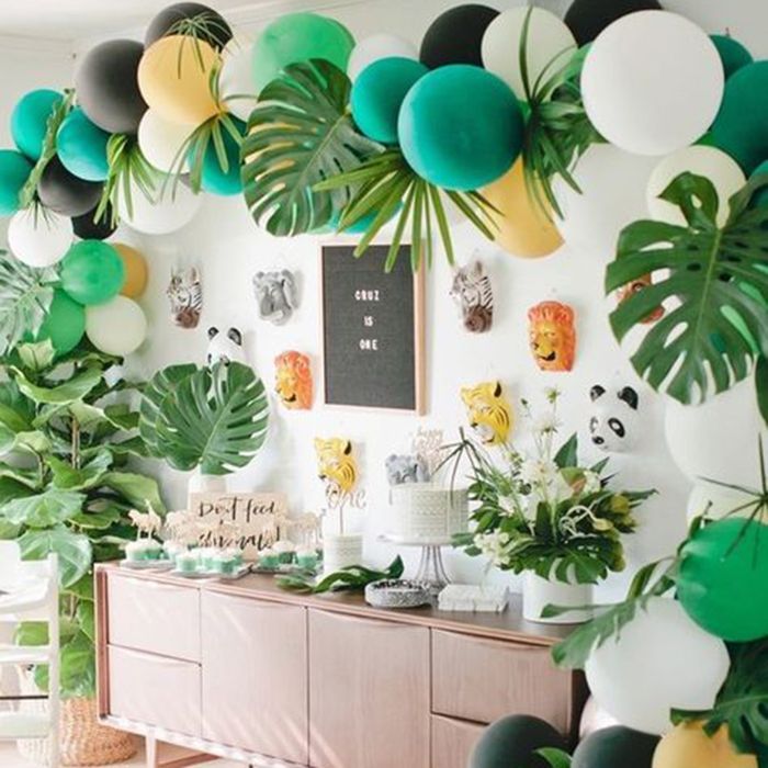 Verde, Folha, Parede, Turquesa, Sala, Planta, Ramo, Planta de casa, Árvore, Fonte,