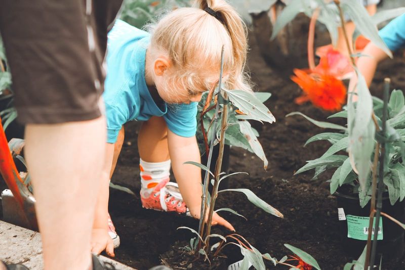 jente i blå t-skjorte som planter en plante