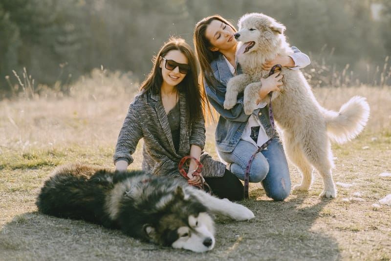 mulheres segurando seus cachorros no parque
