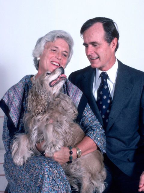 George și Bush Bush