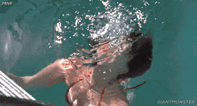 Китова акула, Под вода, Вода, Акула, Риба, Шнорхелинг, Хрущялна риба,