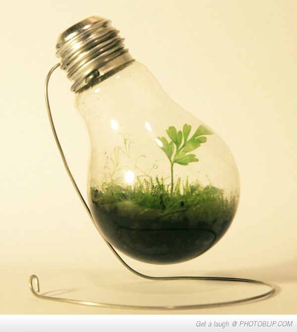 Kipenergy, Unipessoal, Lda foto 4