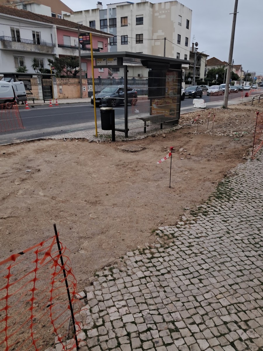 Estrela do Norte foto 4