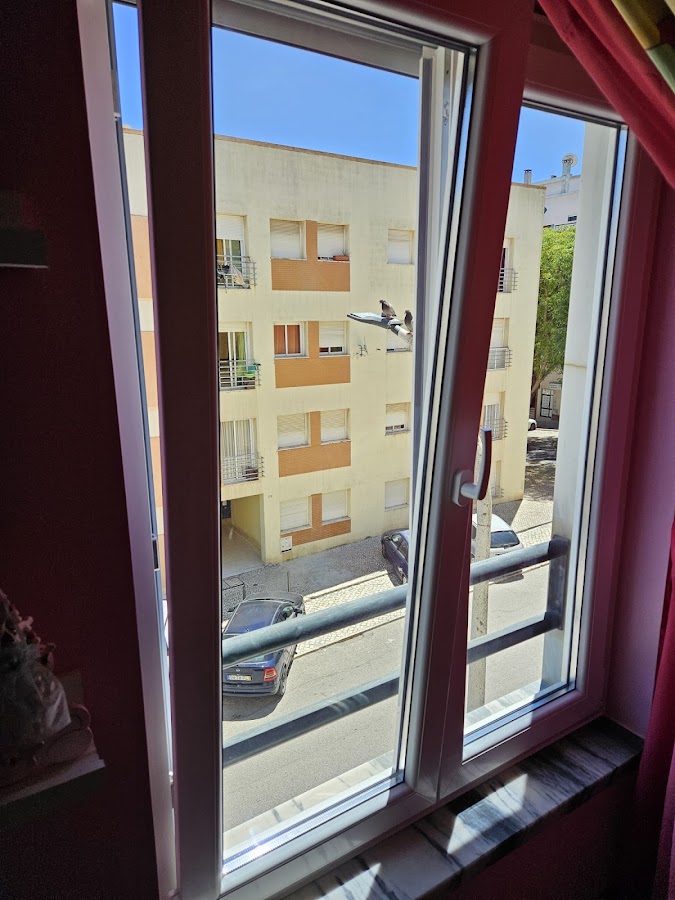 7 Janelas, lda foto 4