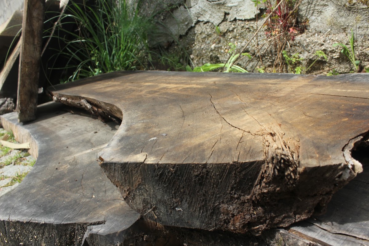 Woodproject foto 8