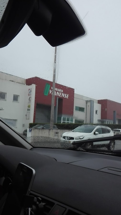 Vidraria Vianense, Vidros e colocações, Lda