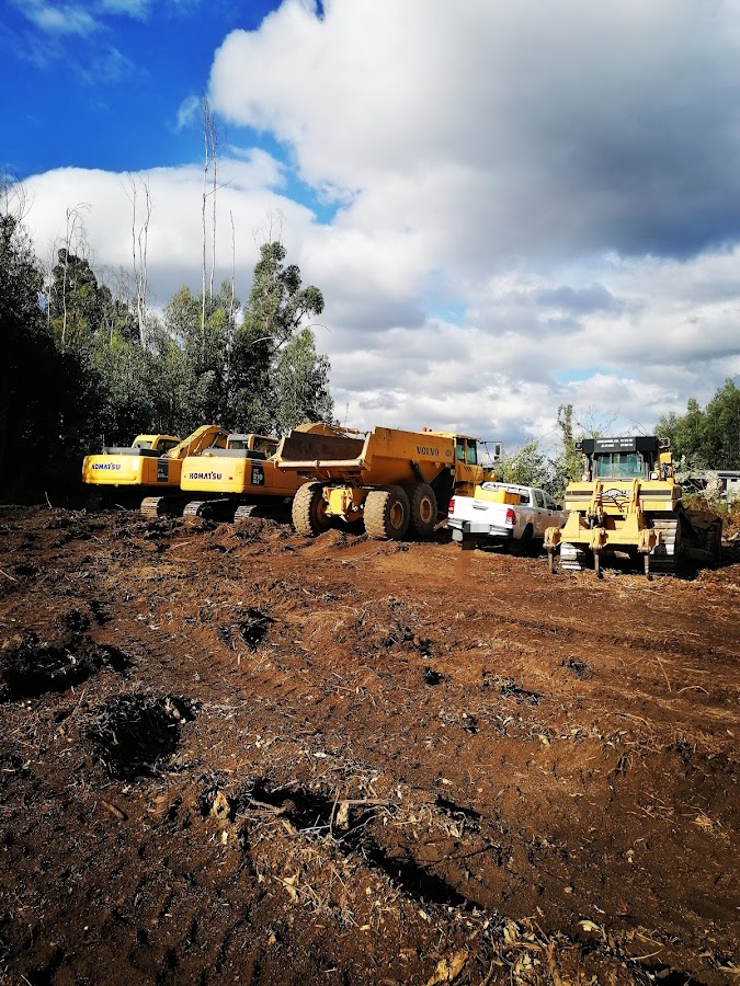 Risoplanagem - Construção Civil E Terraplanagens, Lda. foto 6