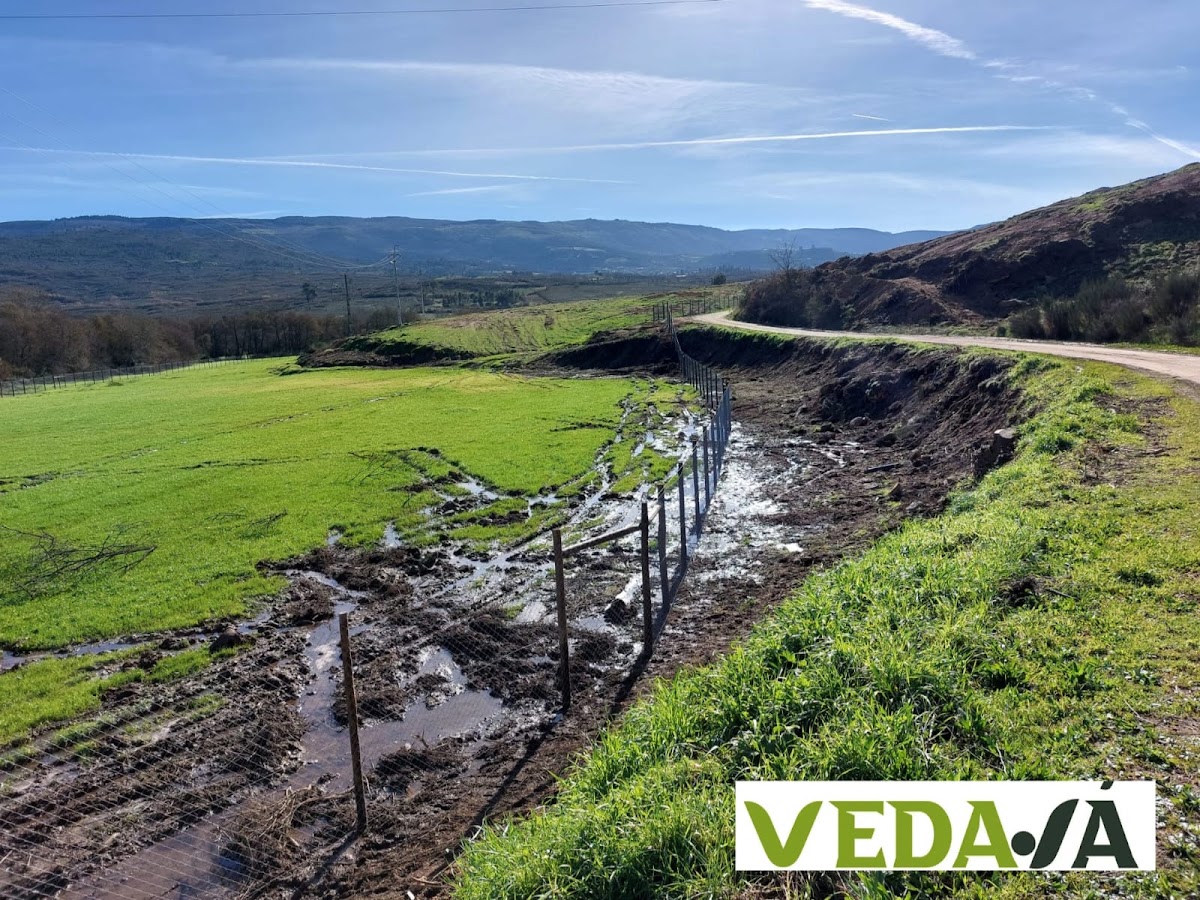 VEDAJA, UNIPESSOAL LDA foto 5