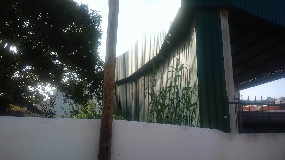 JJA-materiais De Construção Lda foto 2