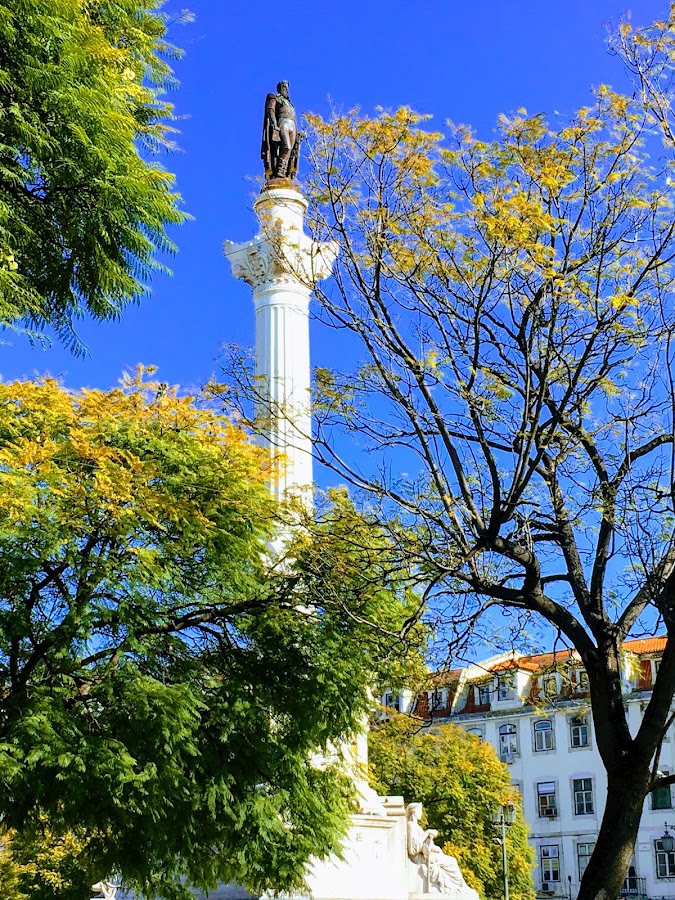 NR Comércio e Aluguer de Máquinas e Acessórios, LDA foto 2