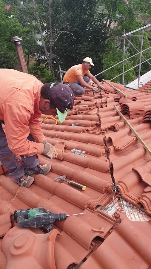 VISKOTT Renovação foto 6