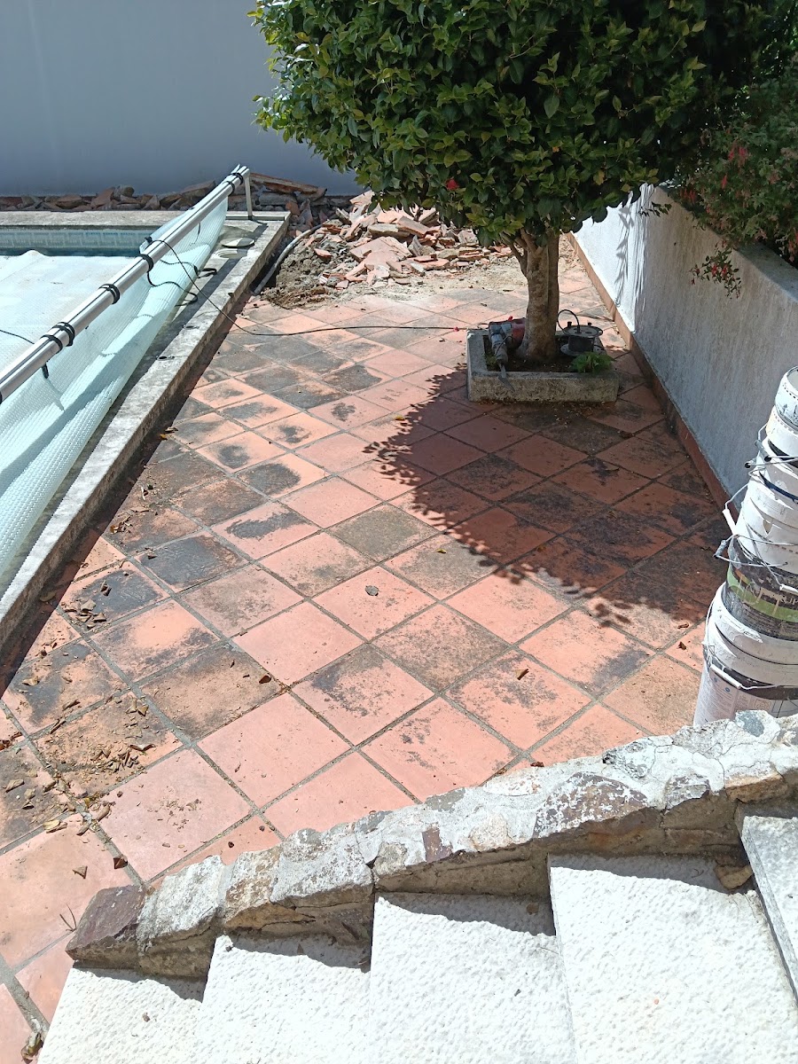 Frondoso conceito unipessoal lda foto 6