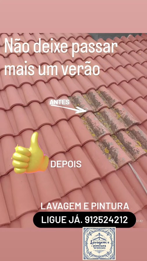 Telhado e Fachada, lavagem, Reparação e pintura foto 3