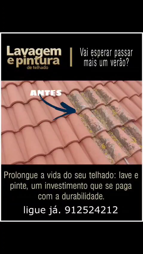 Telhado e Fachada, lavagem, Reparação e pintura foto 6