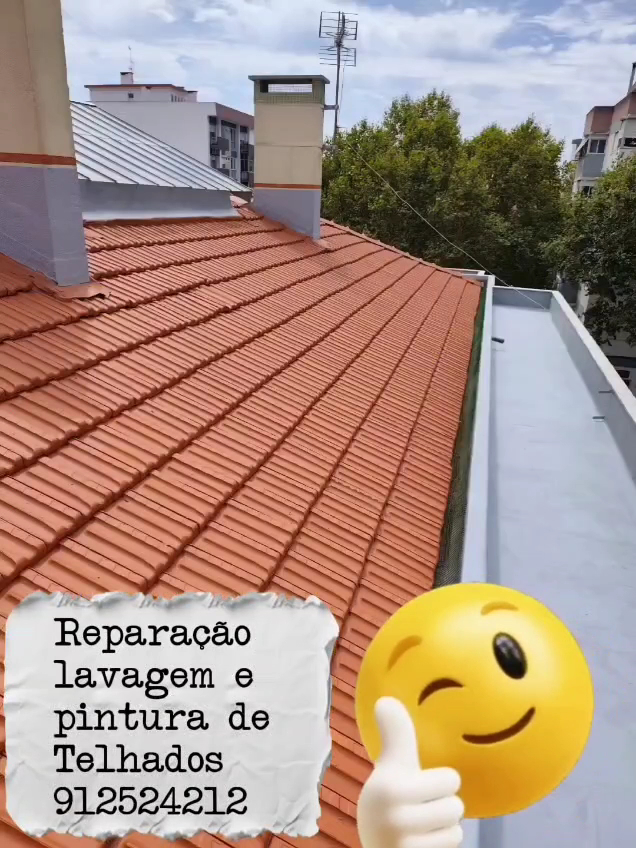 Telhado e Fachada, lavagem, Reparação e pintura foto 7
