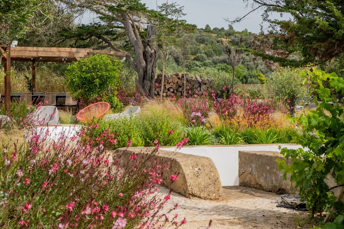 Seed Landscape Architecture foto 2