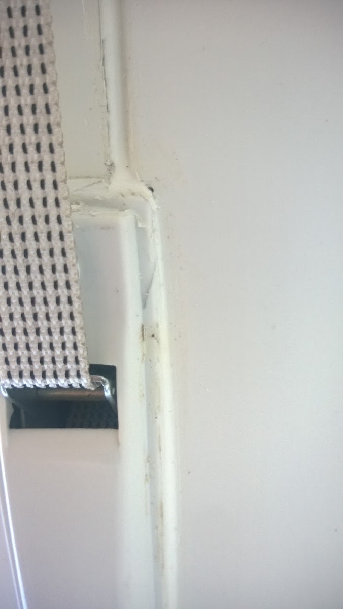 EUROCAIXILHO, SA foto 5
