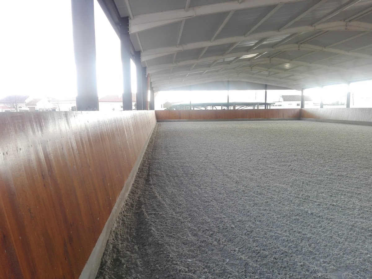 Celicerca - Soluções Equestres foto 8