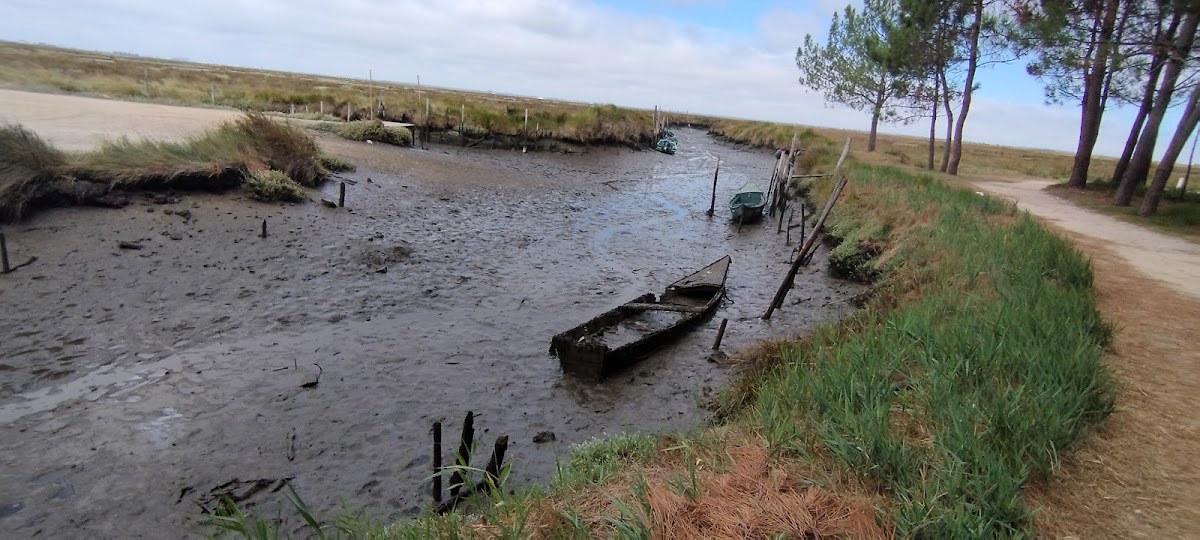 Ira-isolamentos E Revestimentos De Aveiro Lda. foto 2