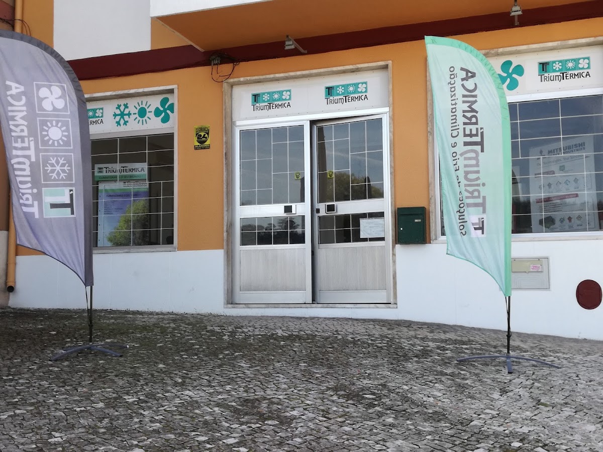 Triumtermica - Soluções De Frio E Climatização, Lda foto 2