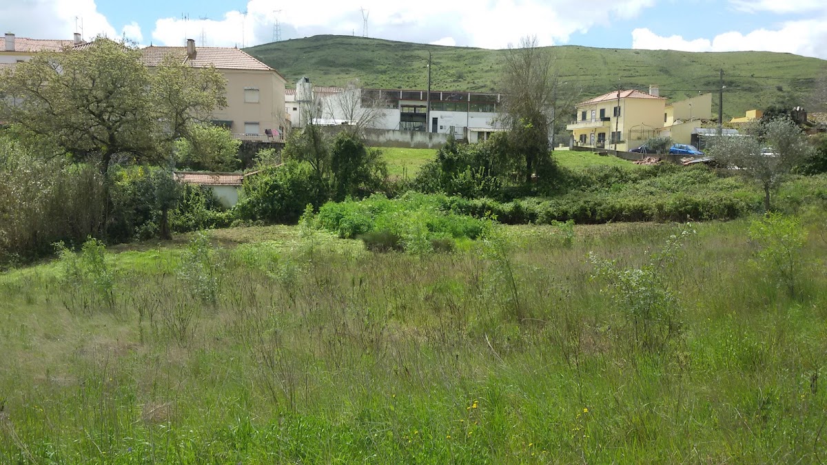 Caixiribas, Lda. foto 3