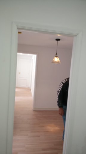 Remodelação , Pintura e pequenos reparos - Casa em Ordem foto 3