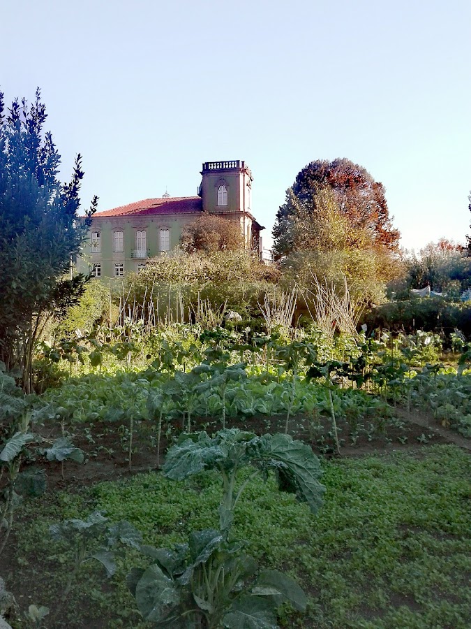 Pirâmides da Quinta da Prelada foto 4