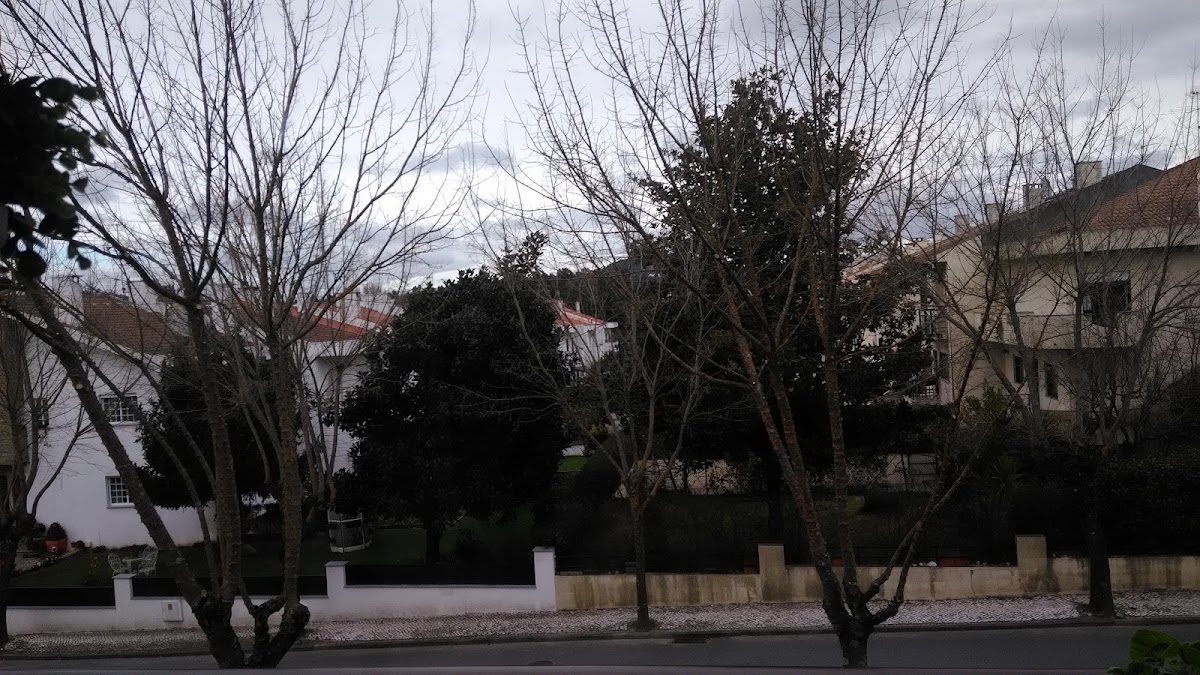 Centráguas-Sondagens e Captações de Água Lda foto 7
