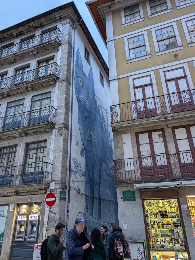 Chaves Bonjardim-Comercio De Chaves, Lda. foto 8
