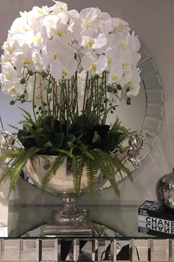 ARBOR PLANTS - Home & Garden