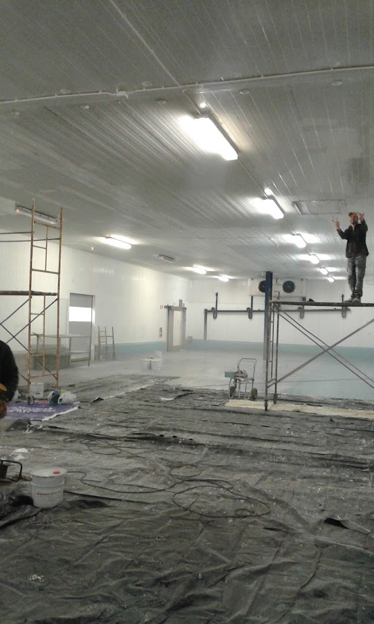 Girassol Opulento - Construções Unipessoal Lda