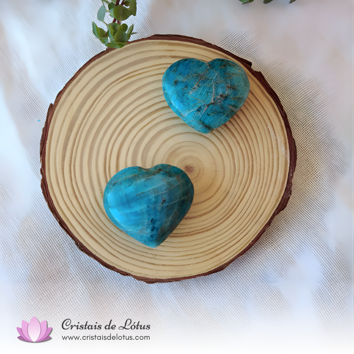 Cristais de Lótus | Loja de Cristais foto 4