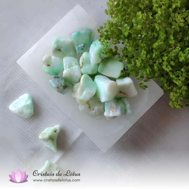 Cristais de Lótus | Loja de Cristais foto 10