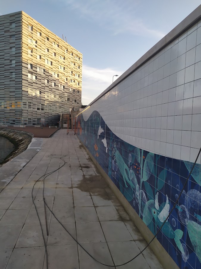 Engipaf - Serv. Eng. e Construção, Lda foto 8