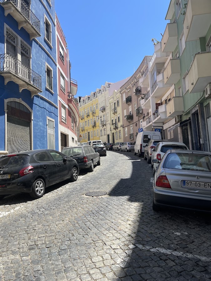 Abrantina Canalizadores e Desentupimentos 24h foto 5