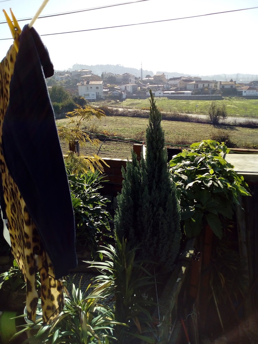 Rasgabre, Demolições, Lda. foto 3