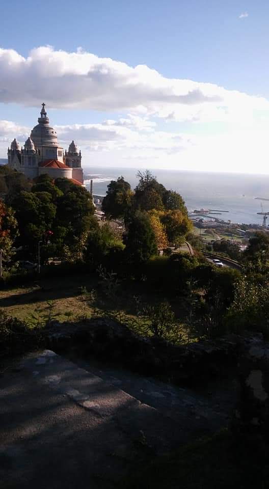 Rasgabre, Demolições, Lda. foto 7