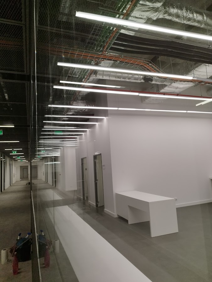 Wallrise - Plaster Solutions, Lda foto 2
