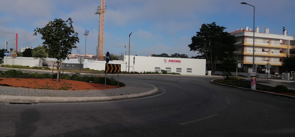 Ricardo A Ferreira Santos foto 4