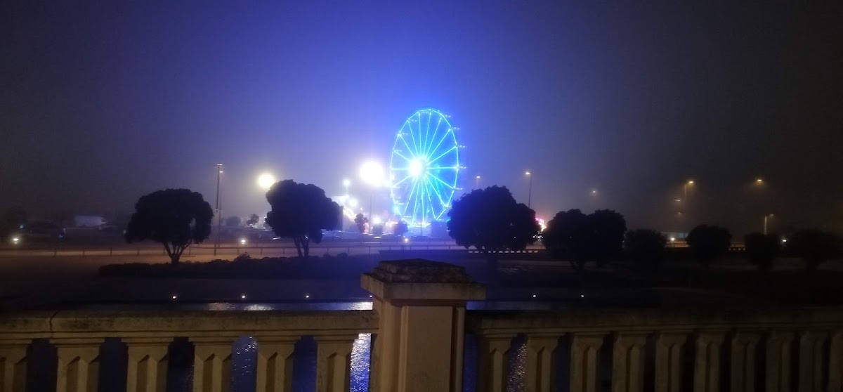 Ricardo A Ferreira Santos foto 9