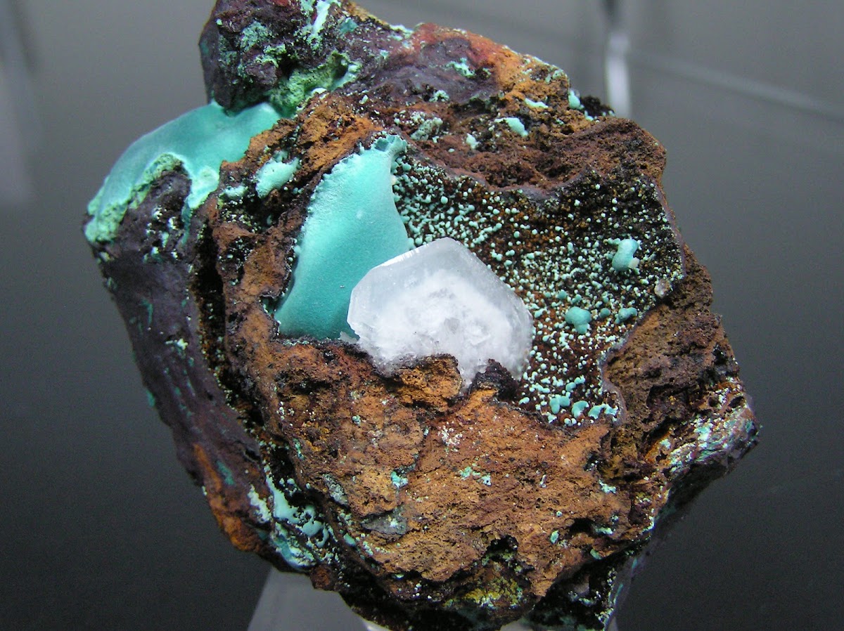 Minerals Rodrigues foto 7